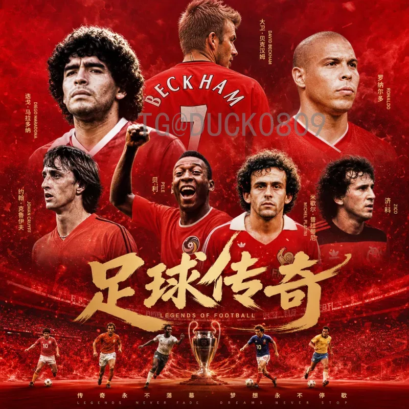官方2026年美加墨世界杯历史战绩查询全攻略